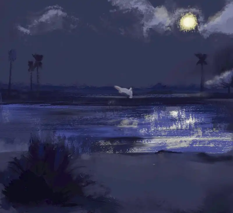 Where the Paddy Fields End